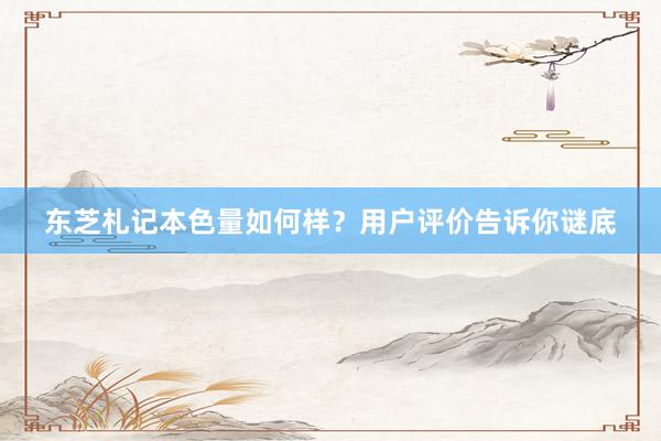 东芝札记本色量如何样？用户评价告诉你谜底